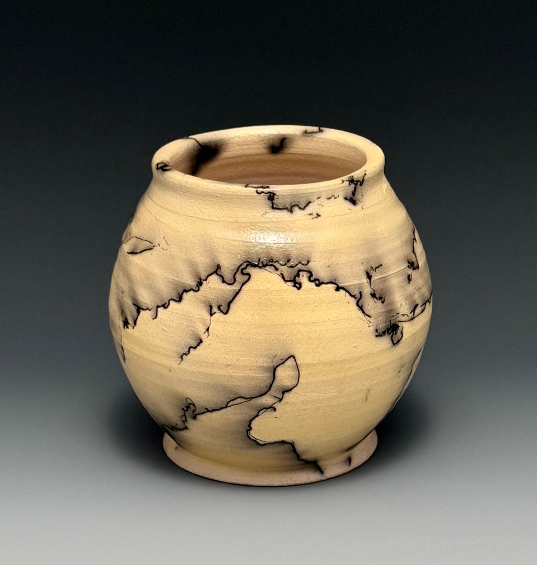 Raku Horsehair Vase